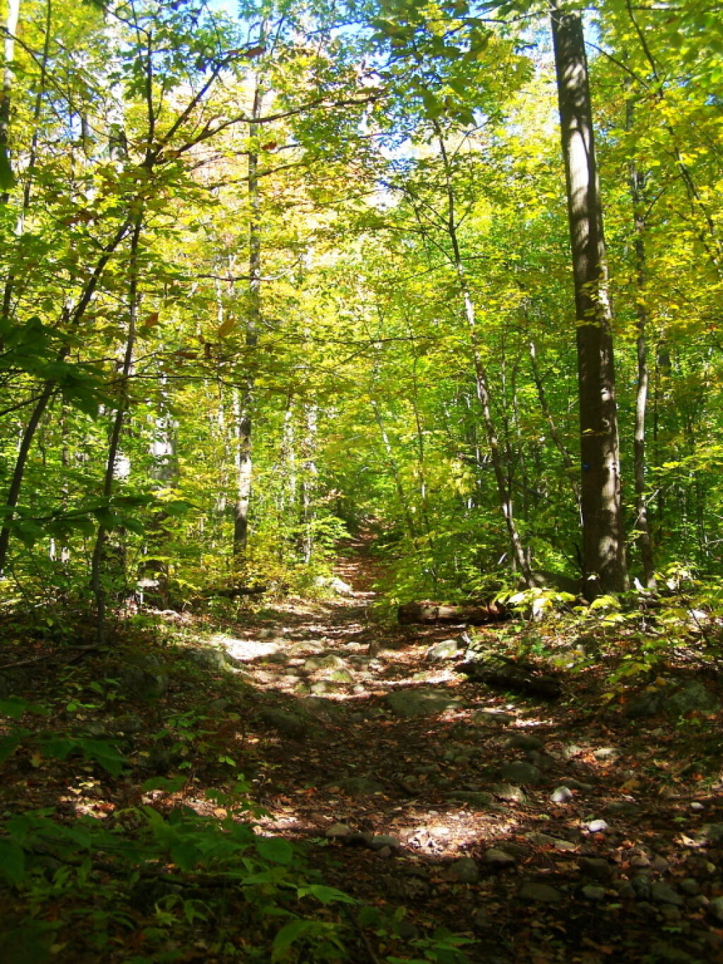 Photo: Starting Up the Trail Photo: Starting Up the Trail