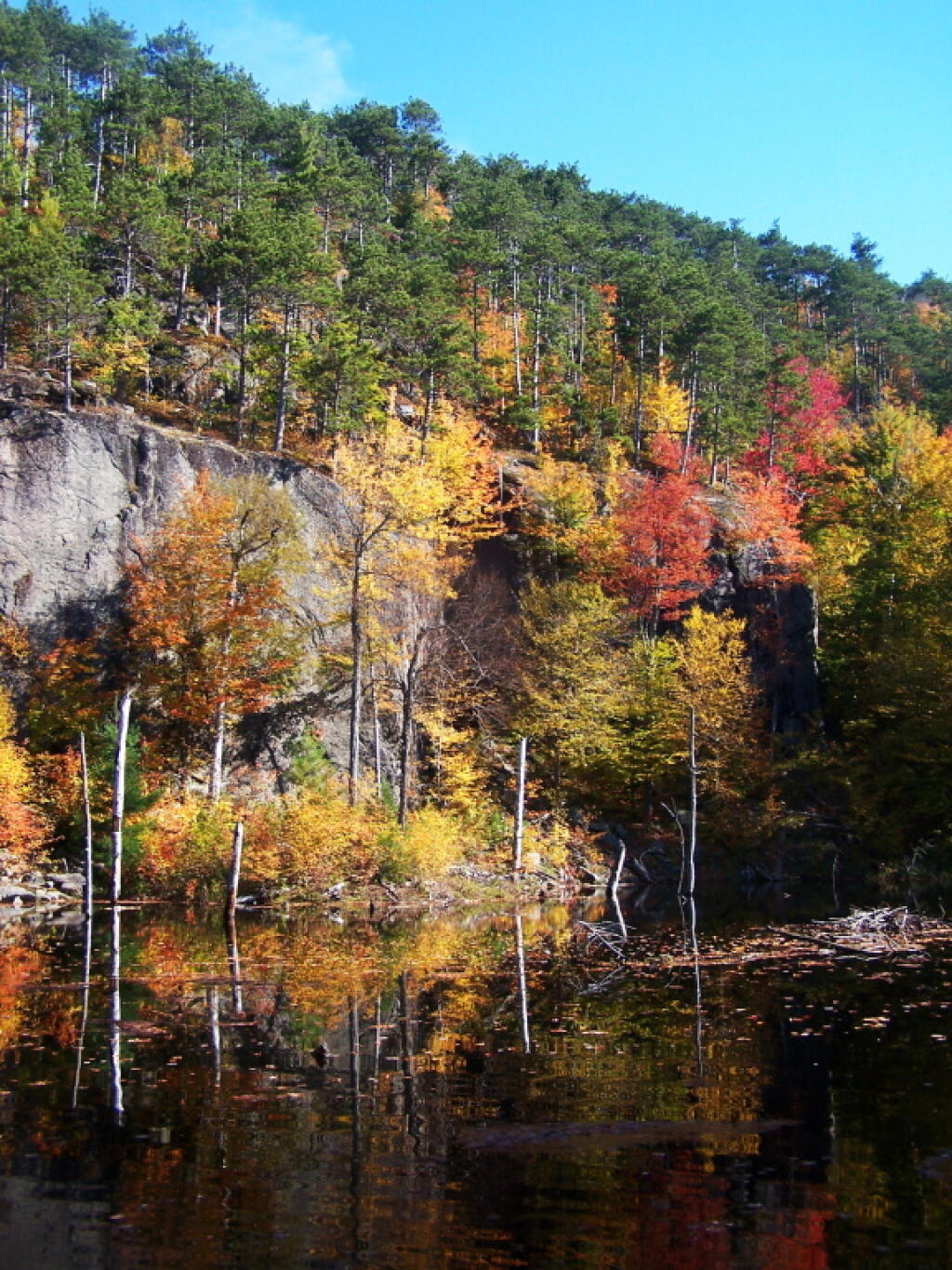 Photo: Pond on Ledge Photo: Pond on Ledge
