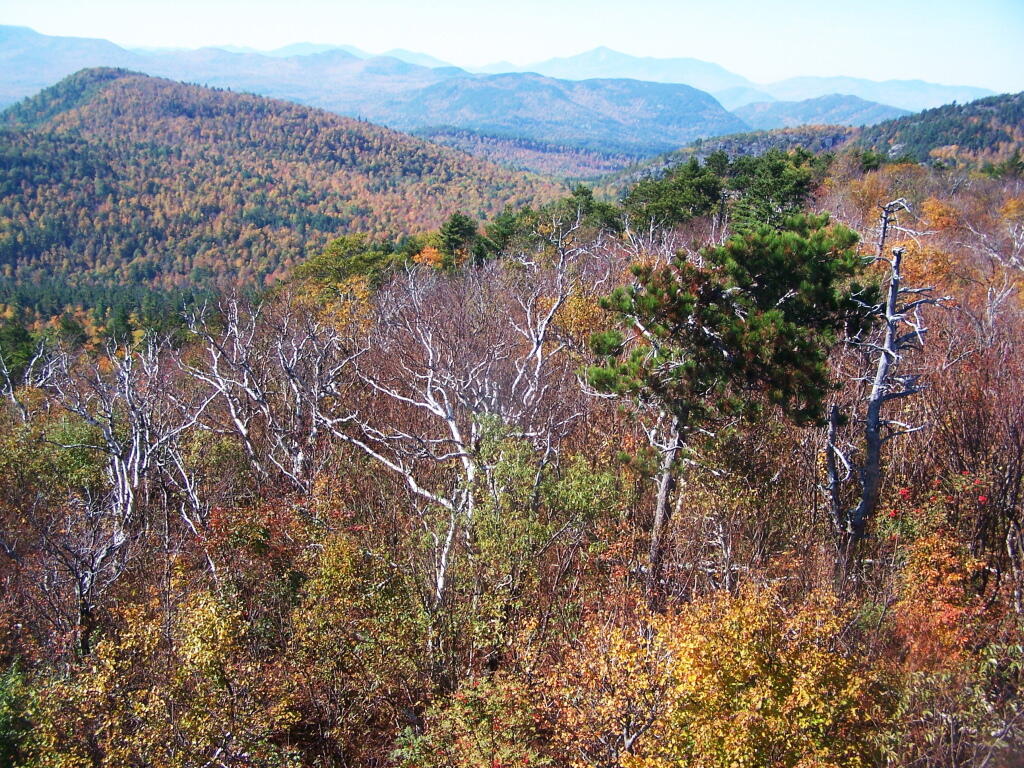 Photo: South West from Firetower Photo: South West from Firetower