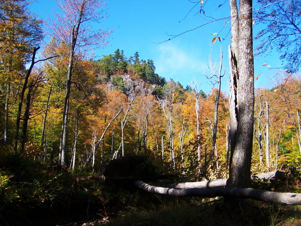 Photo: Ledge Above the Trai Photo: Ledge Above the Trai