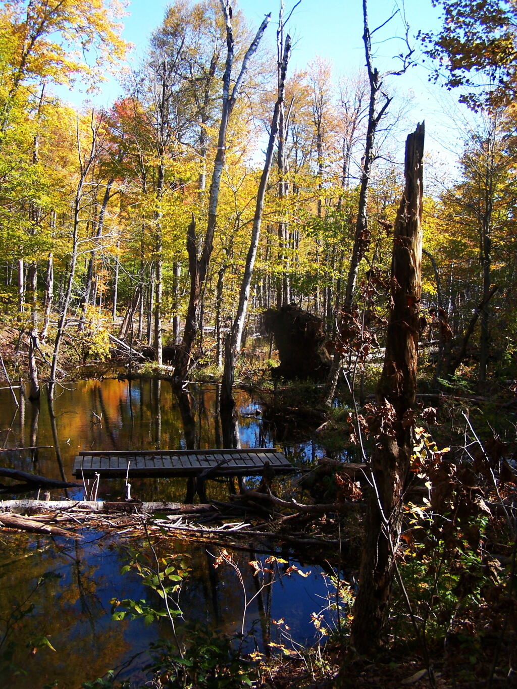 Photo: Past the Flooded Bridge Photo: Past the Flooded Bridge