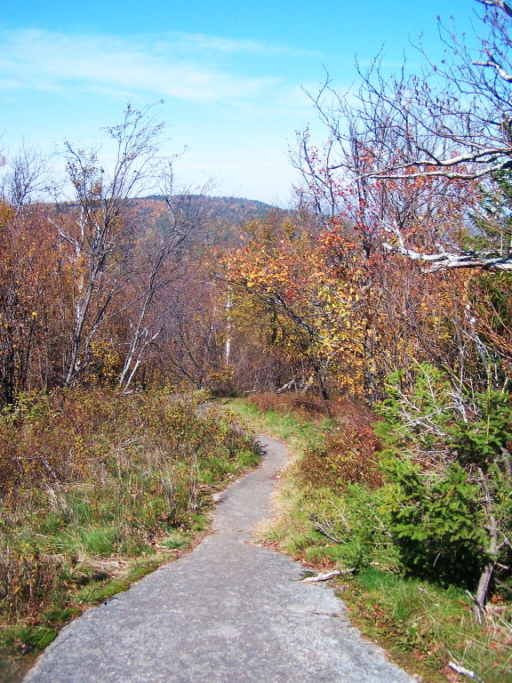 Photo: Descending the Mountain Photo: Descending the Mountain