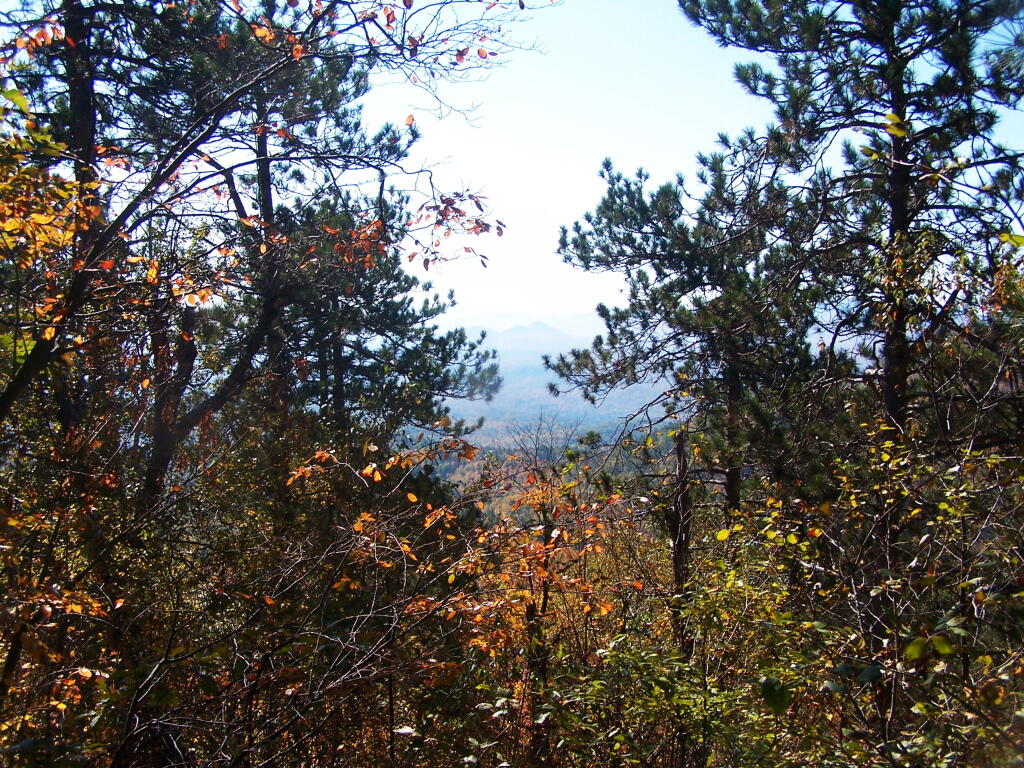 Photo: Views from Side Photo: Views from Side