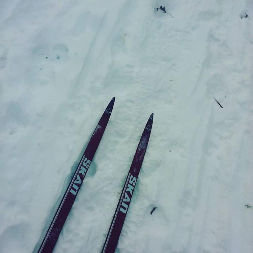Photo: Ski while you still can