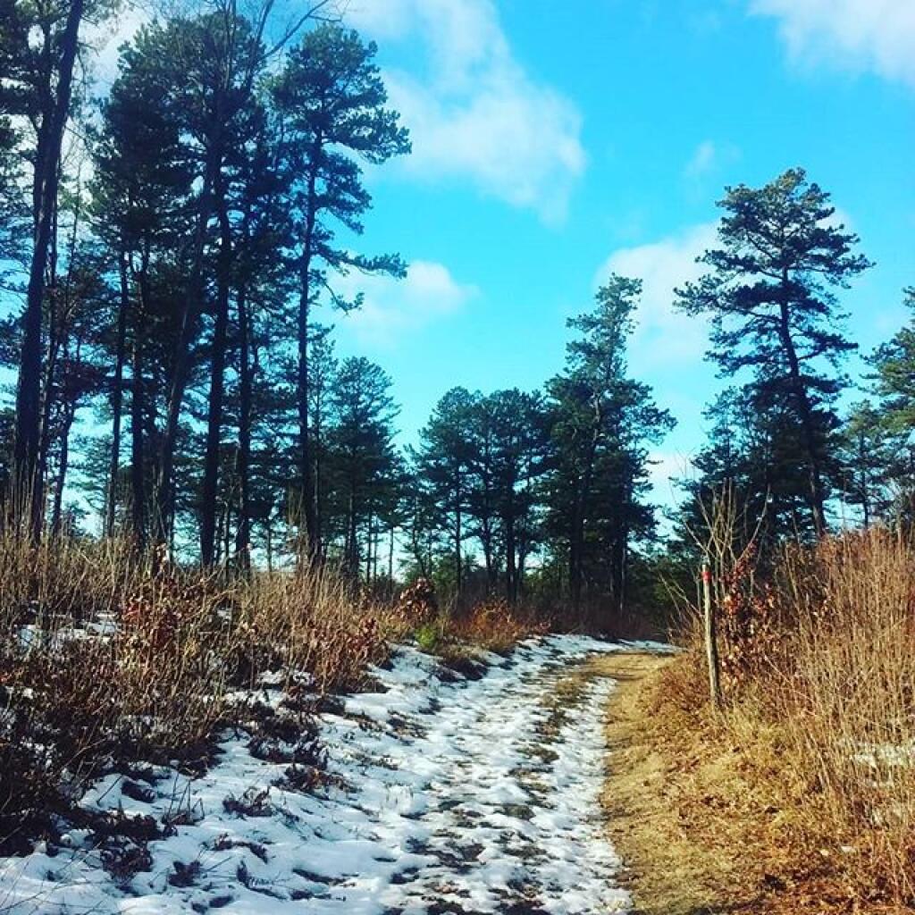 Photo: Winter