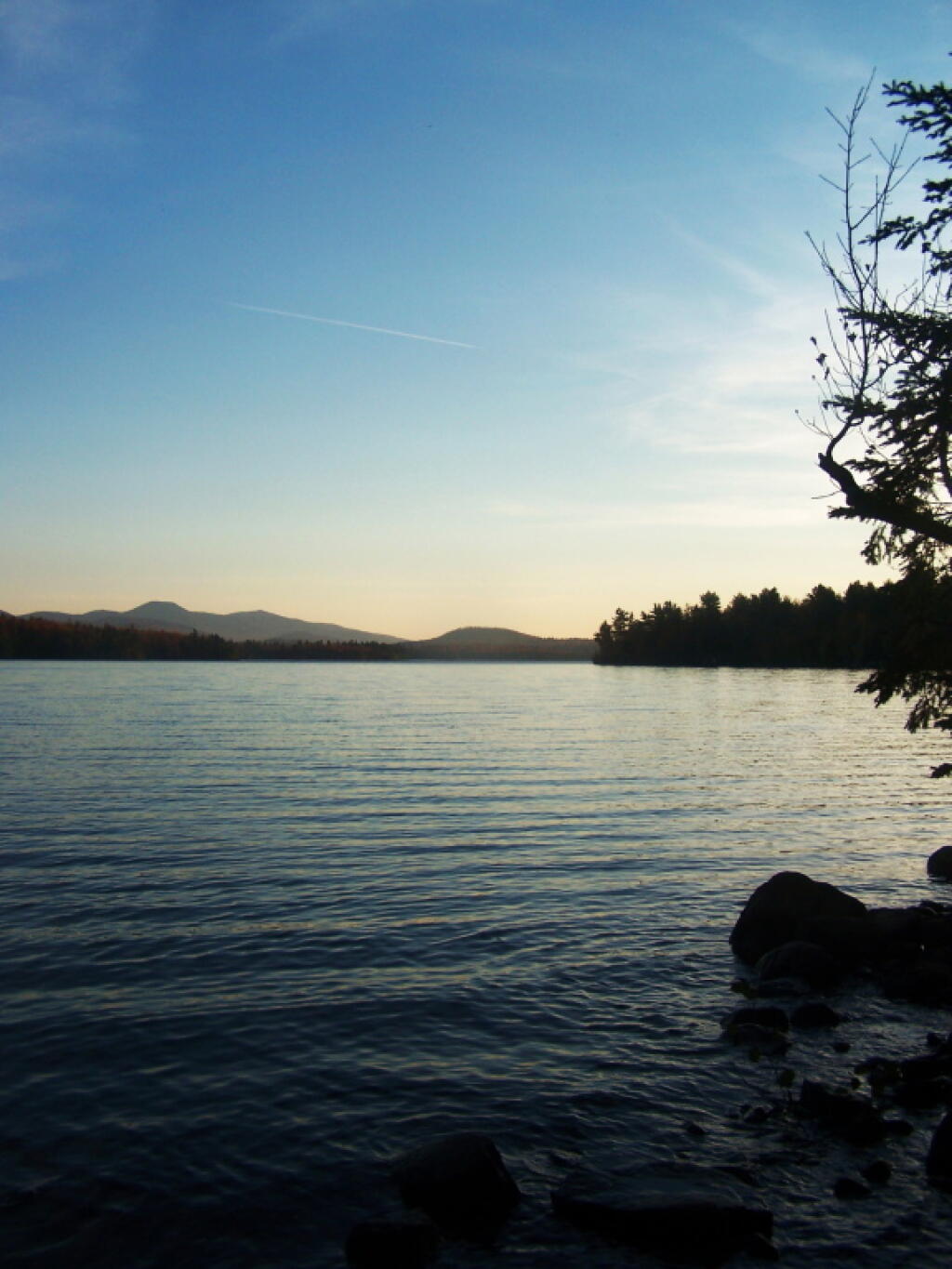 Photo: Along Edge of Union Falls Pond Photo: Along Edge of Union Falls Pond