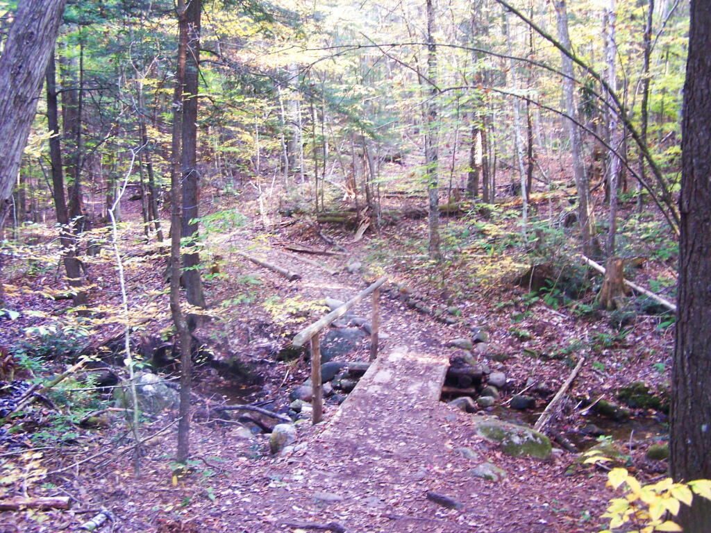 Photo: Bridge in Fall