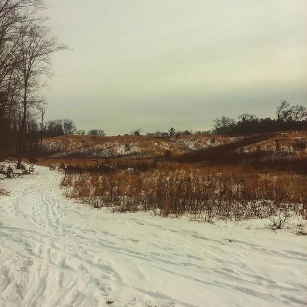 Photo: A few weeks later