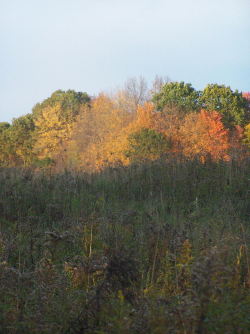 Photo: Fall Colors