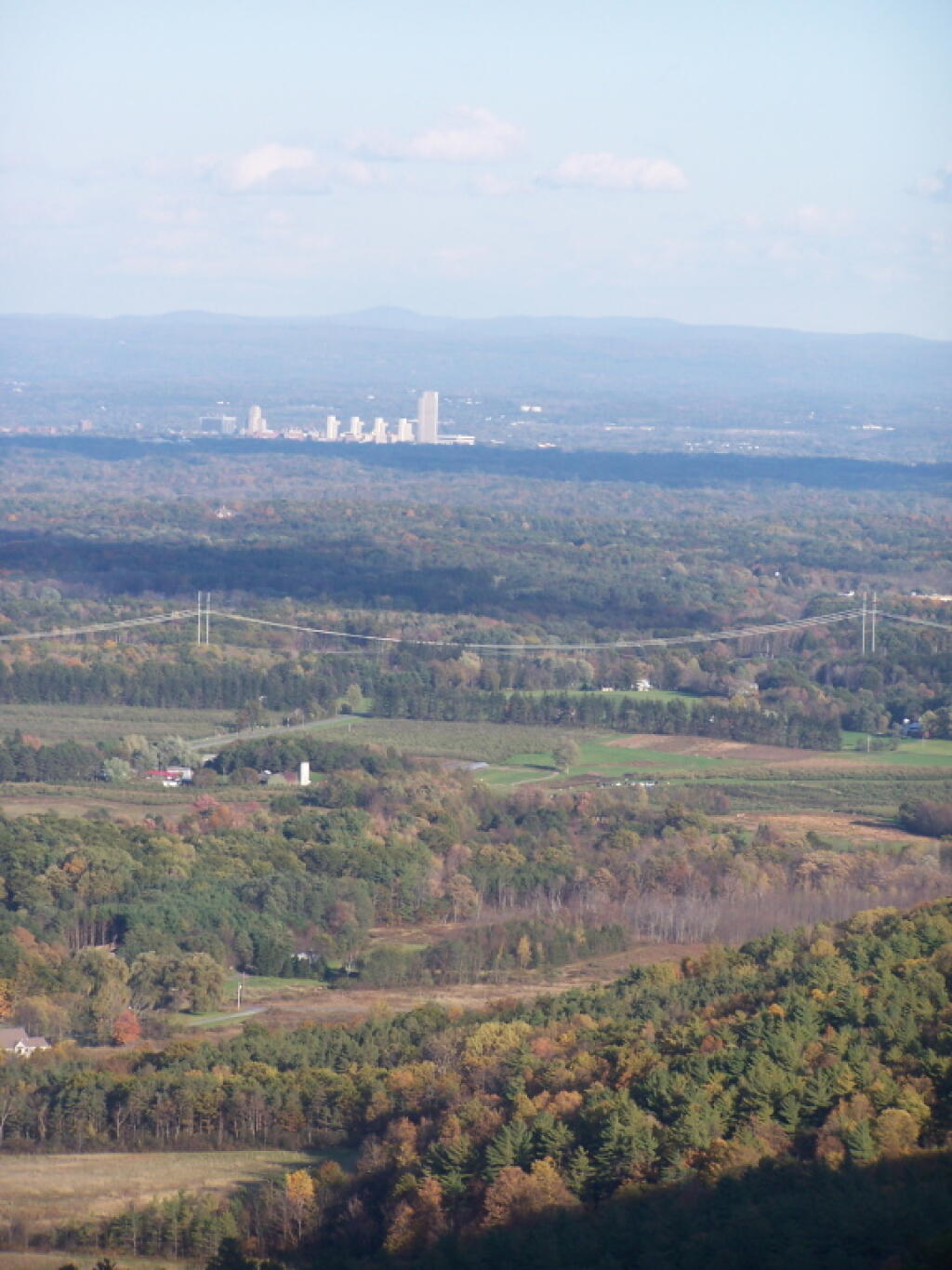 Photo: Graying Albany Photo: Graying Albany