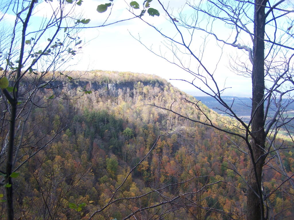 Photo: Hailes Cave Area