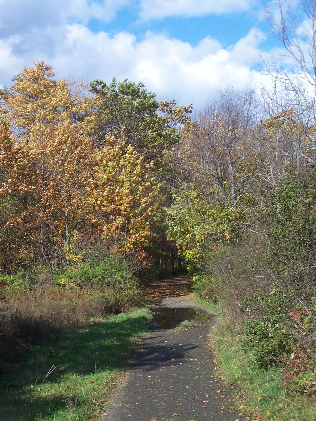 Photo: Trail to High Point Photo: Trail to High Point