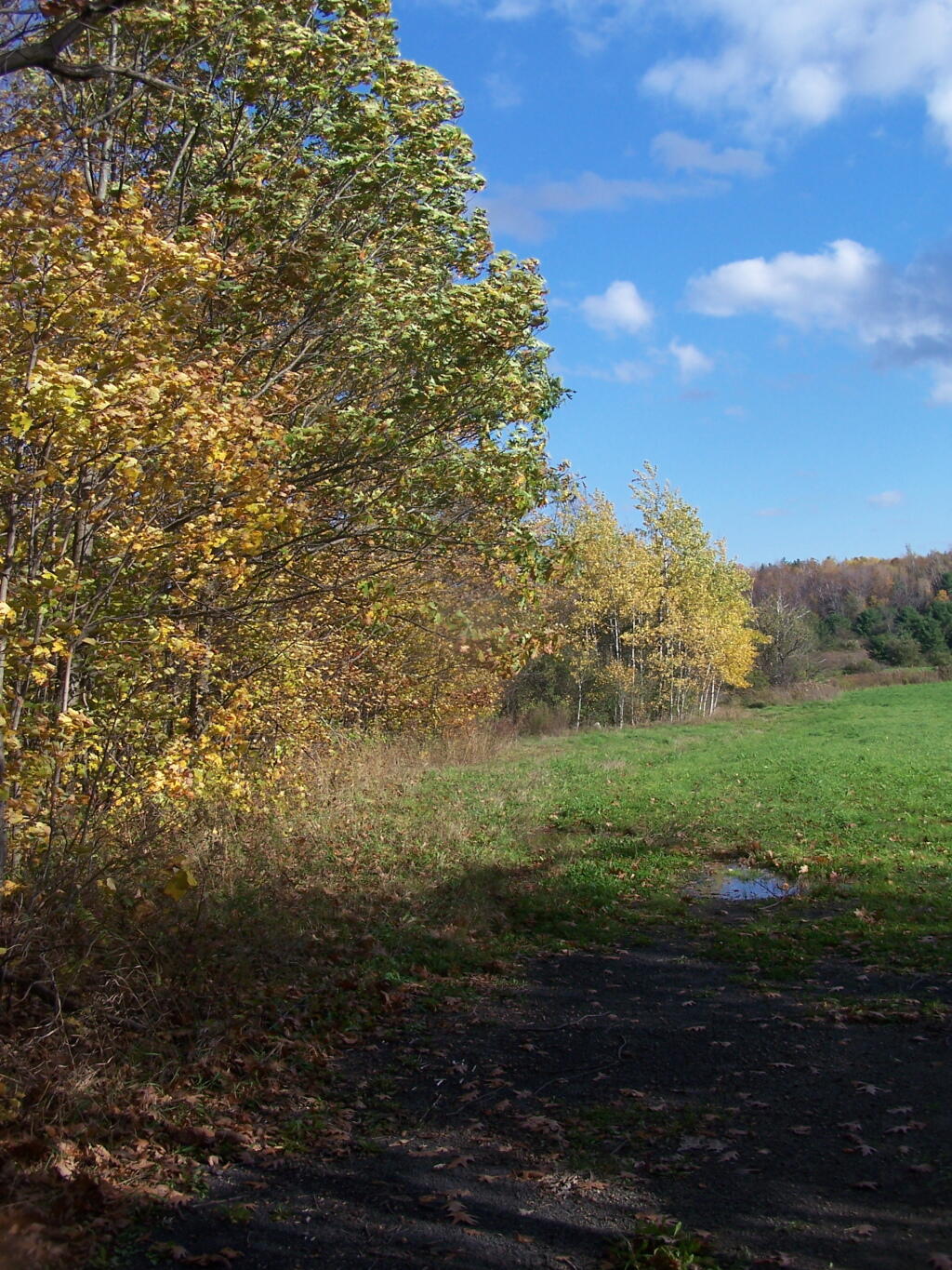 Photo: Farm Field Along Hedgerow