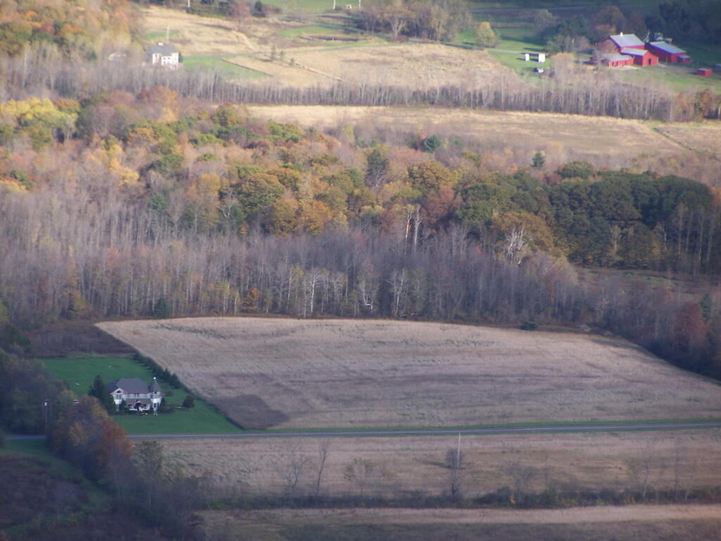 Photo: House Surrounded By Corn