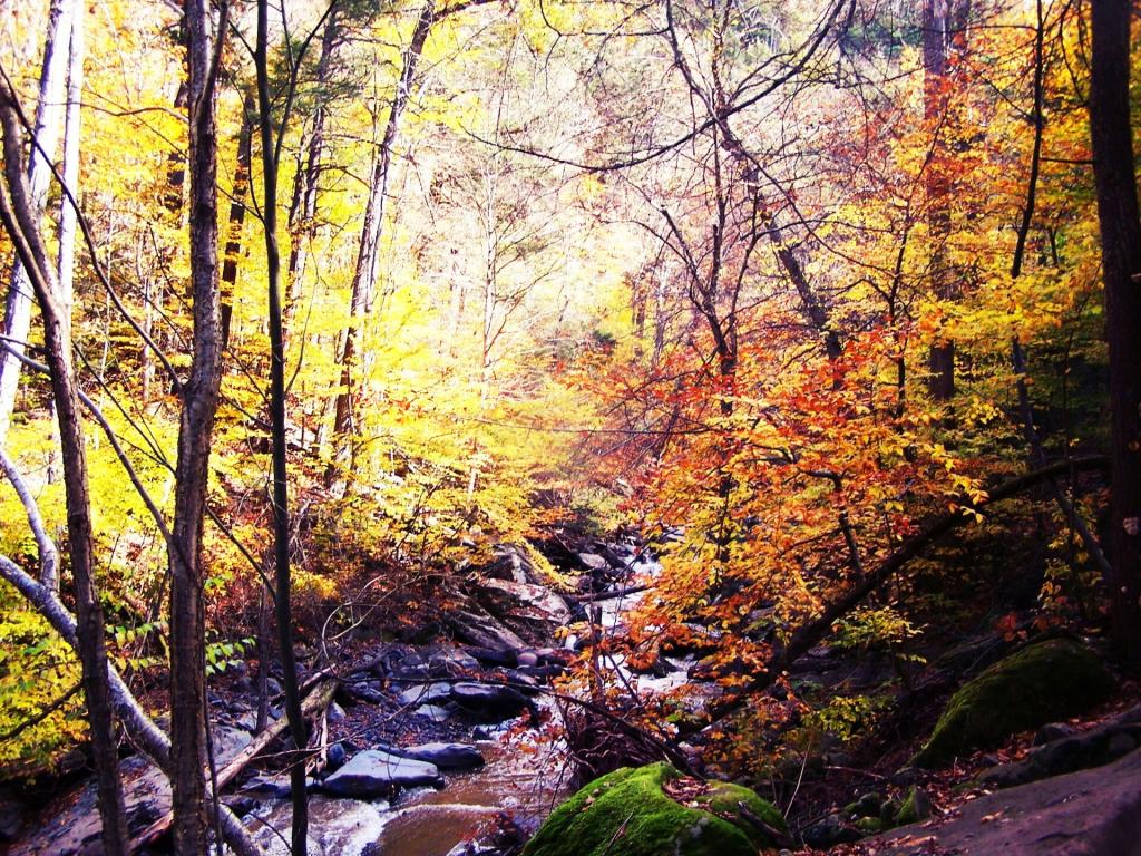 Photo: Kaaterskill Creek Photo: Kaaterskill Creek
