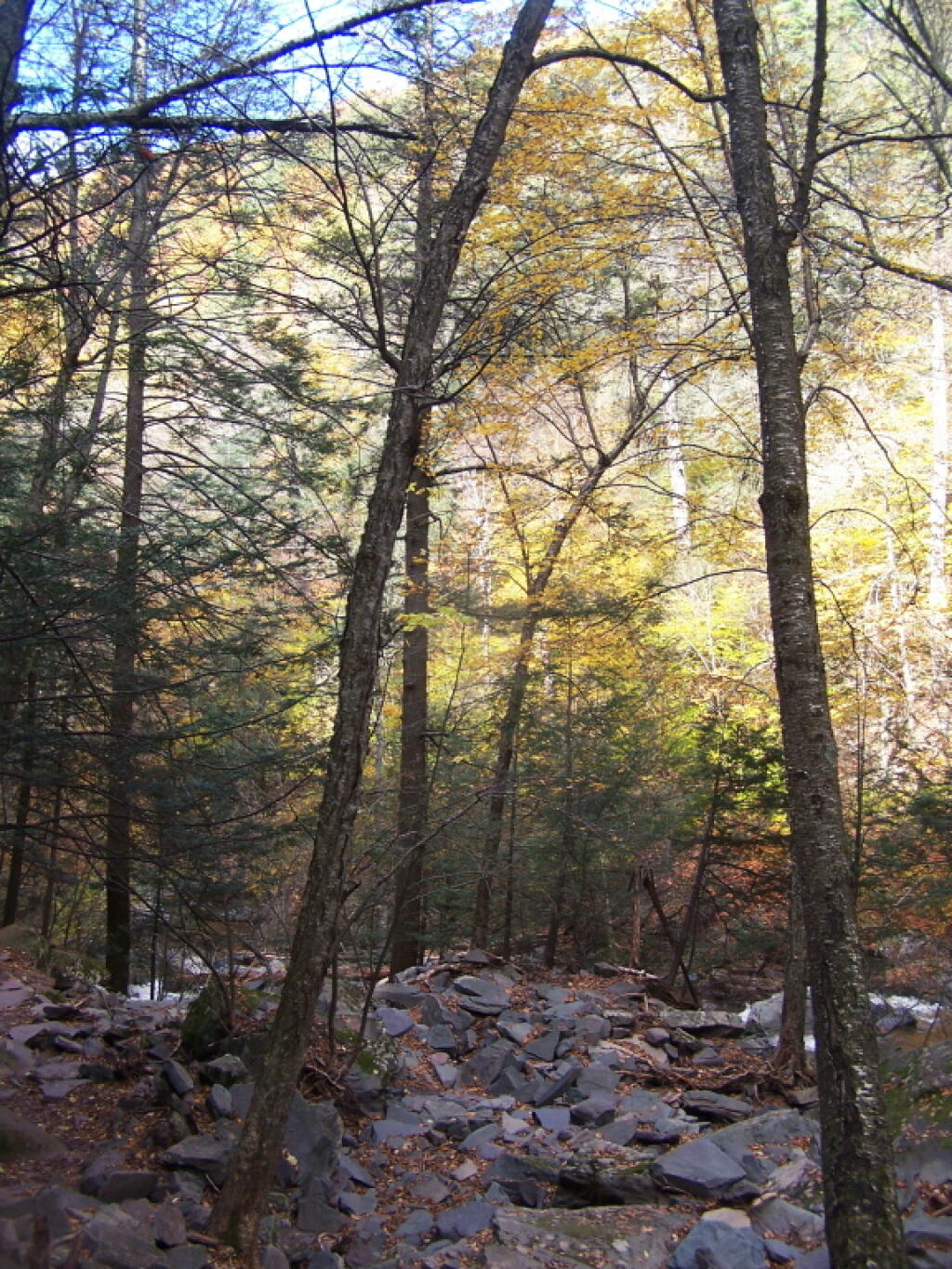 Photo: Trail in Shadow