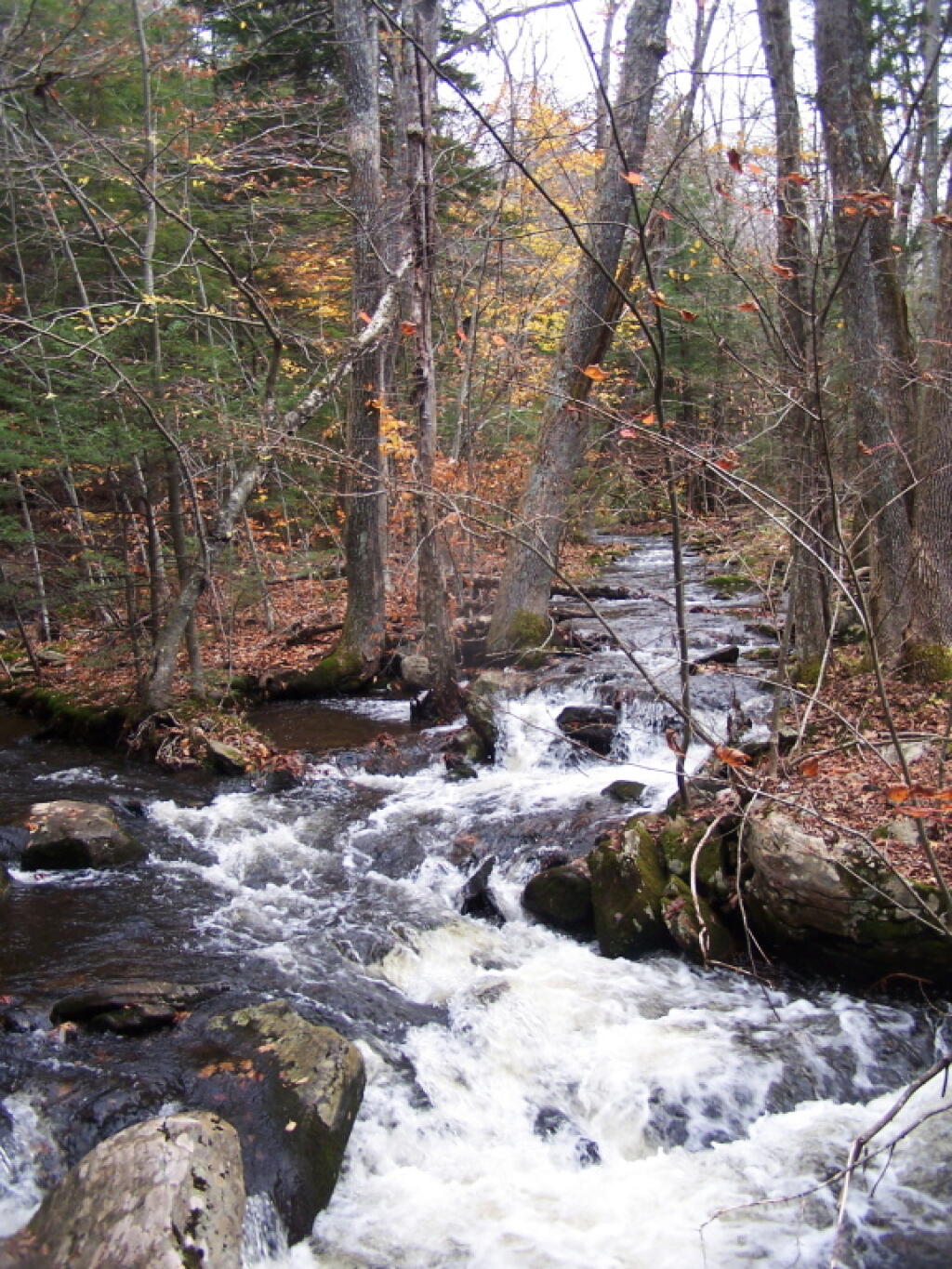 Photo: Crossing the Kaaterskill Creek Photo: Crossing the Kaaterskill Creek