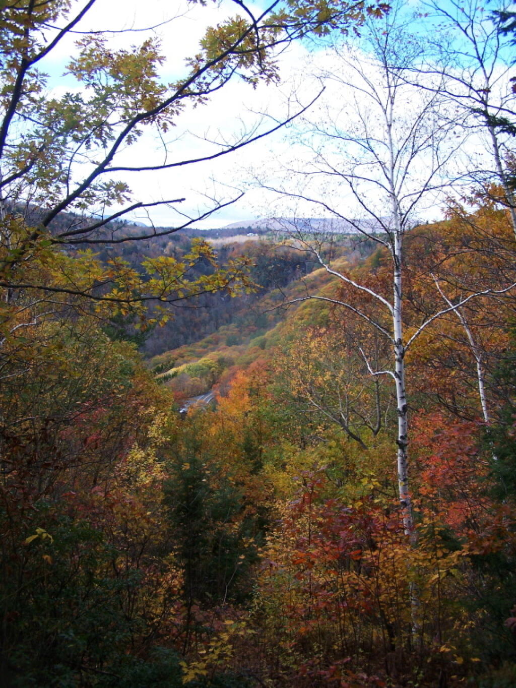 Photo: View from Laymans Monument