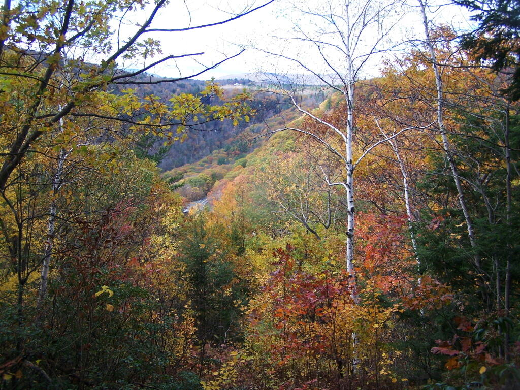 Photo: Kaaterskill Clove from Laymans Monument