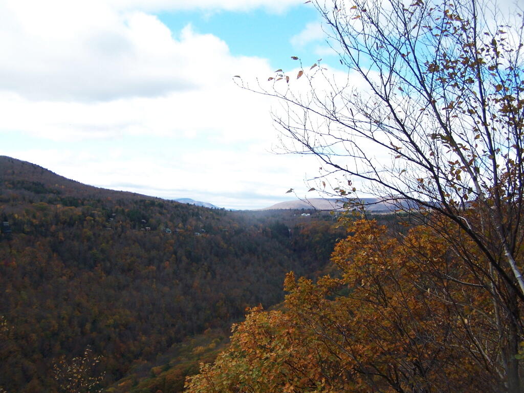 Photo: Kaaterskill Clove Looking West