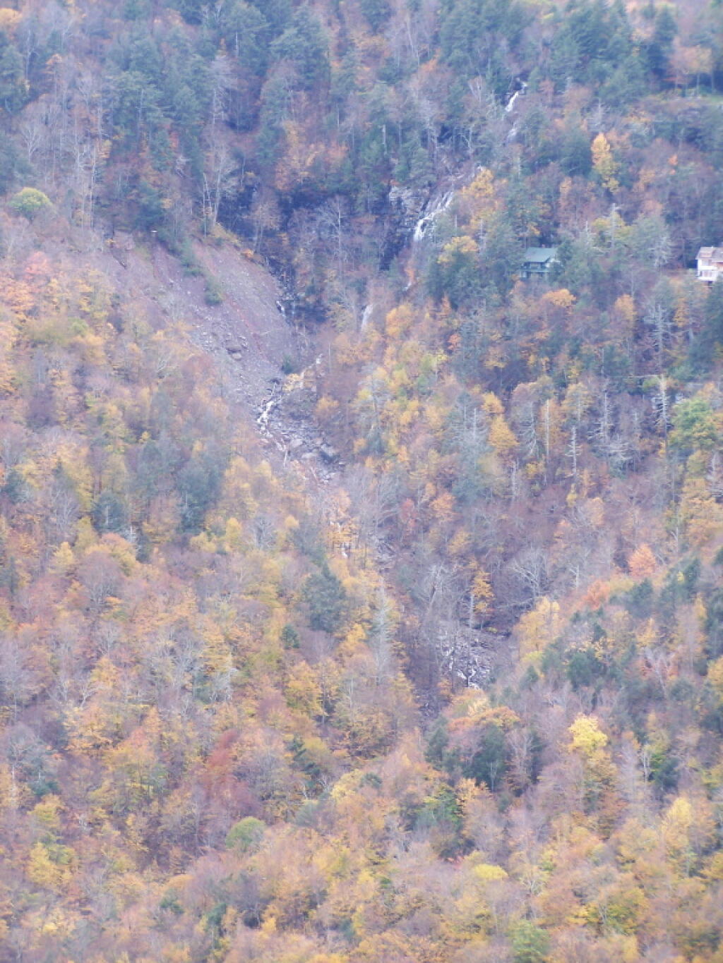 Photo: Water Rushing Down Santa Cruze Ravine