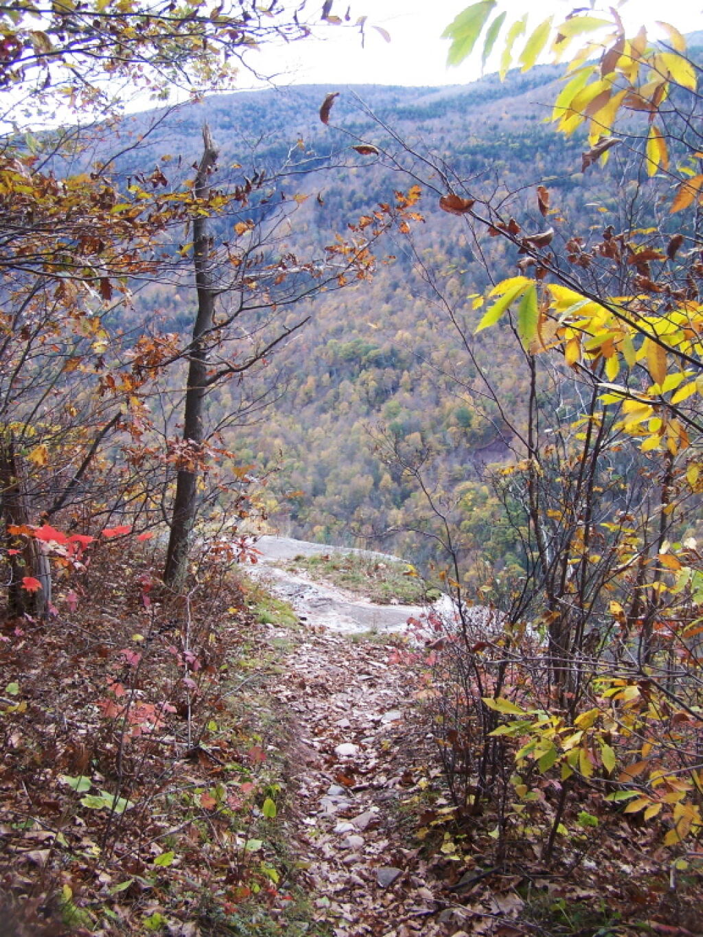 Photo: Trail to Edge