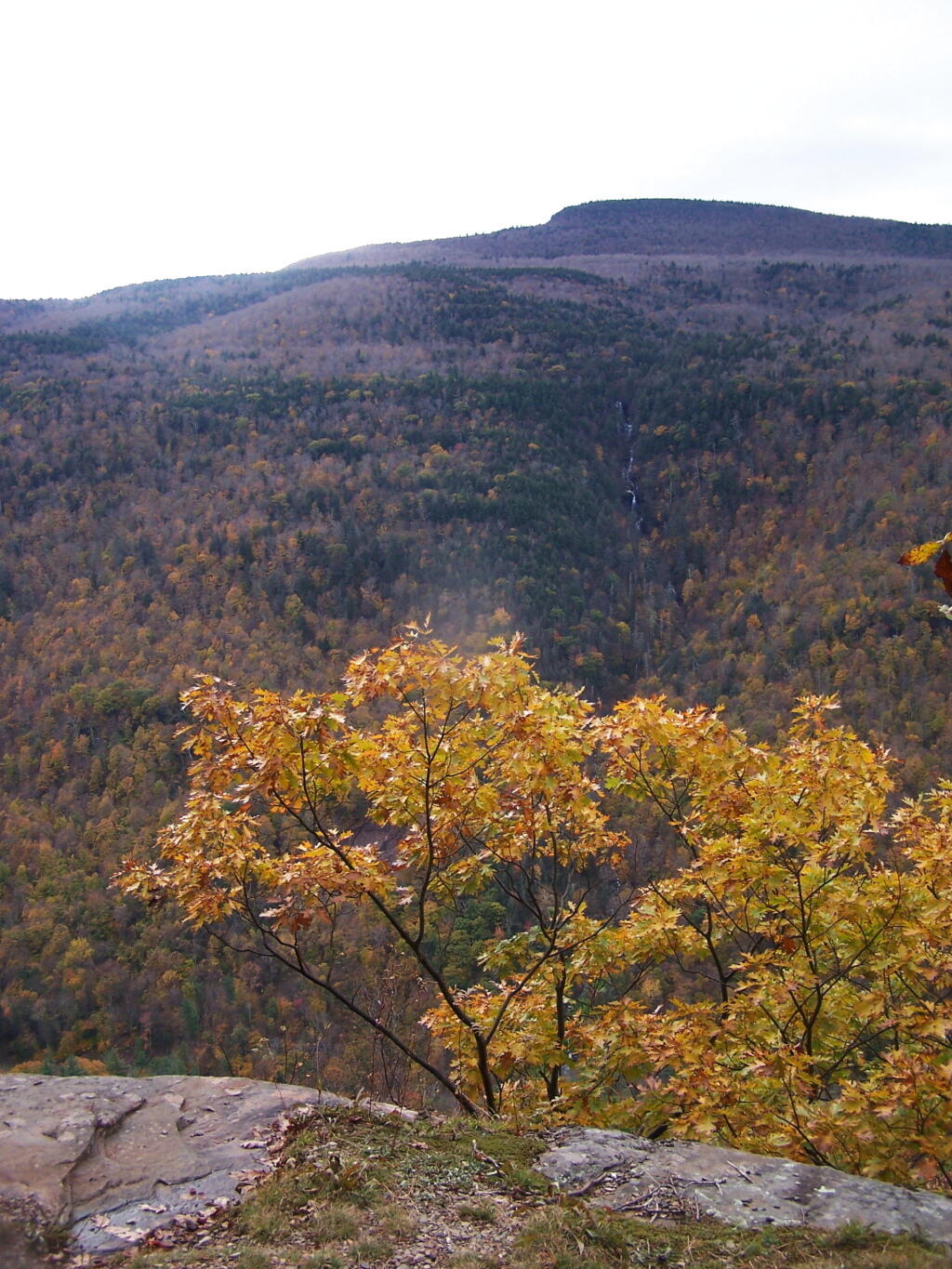 Photo: Wild Cat Ravine Photo: Wild Cat Ravine