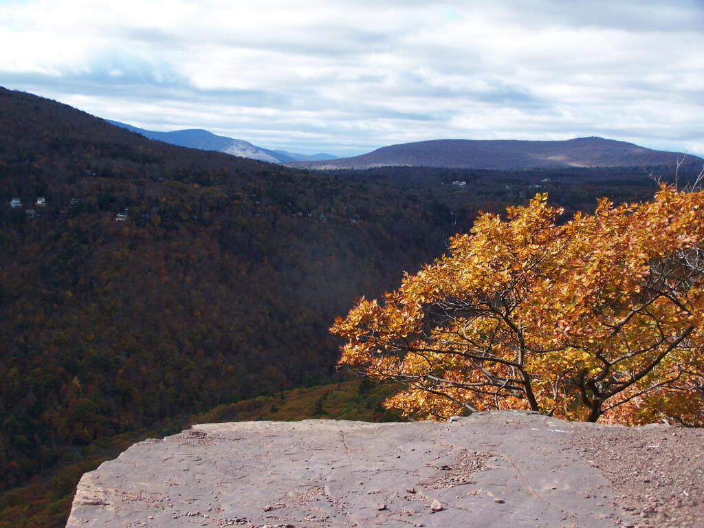 Photo: Kaaterskill Clove II