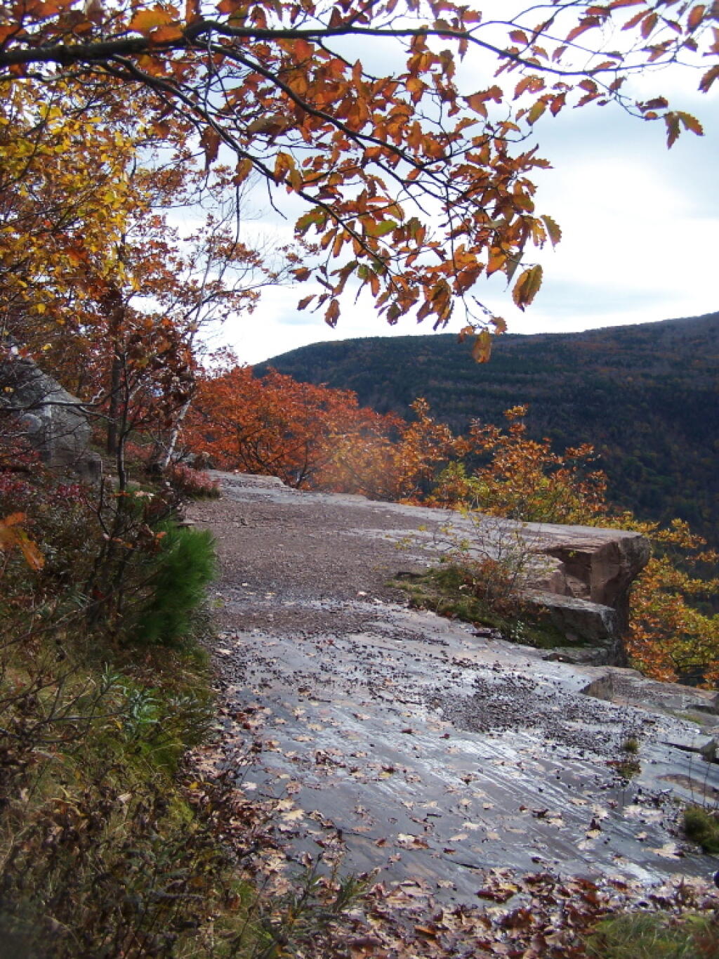 Photo: Along the Edge