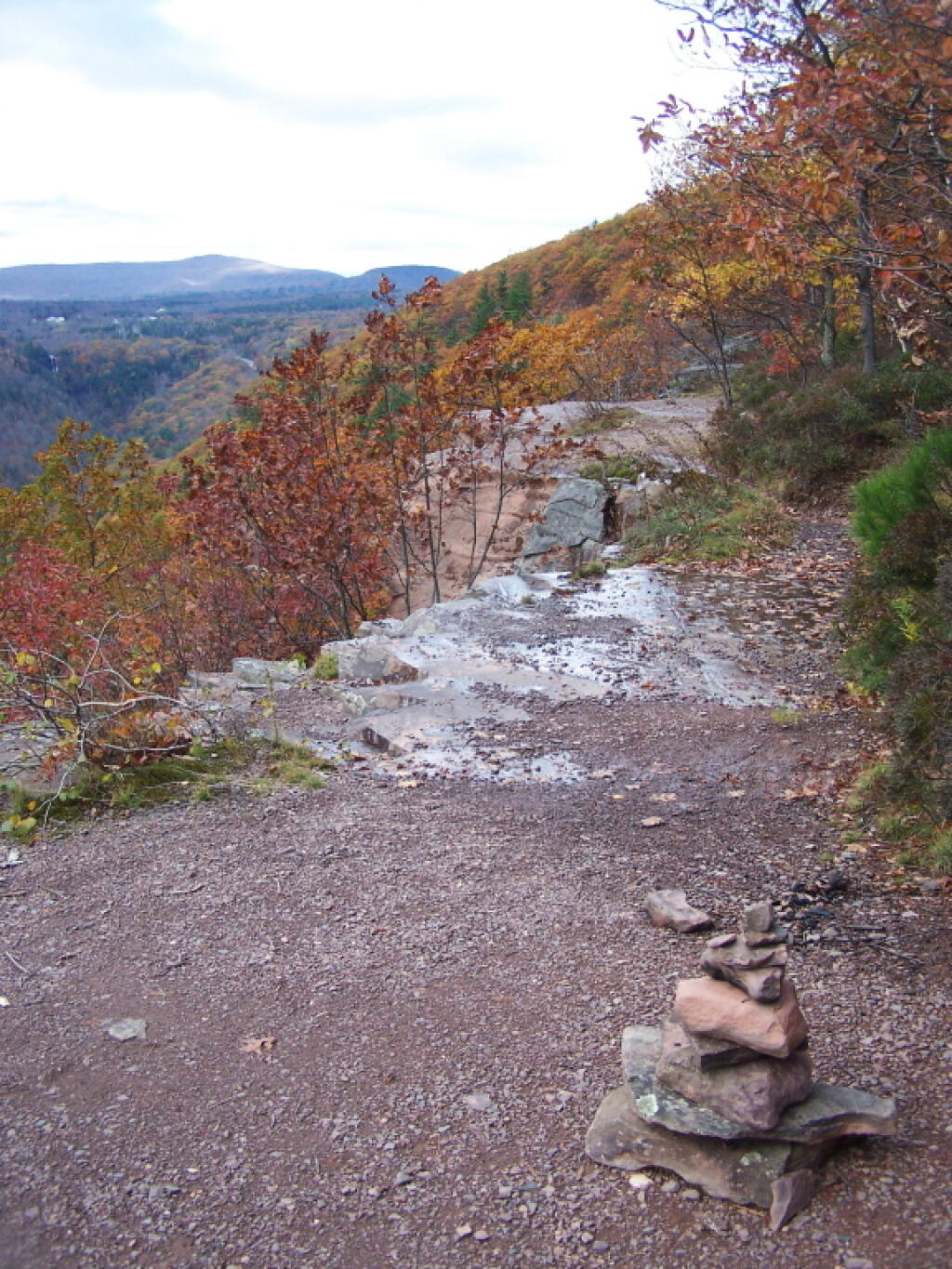 Photo: Carin Along Trail