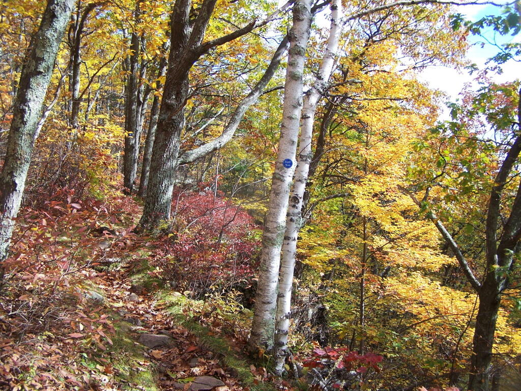 Photo: Steeper Section of Trail