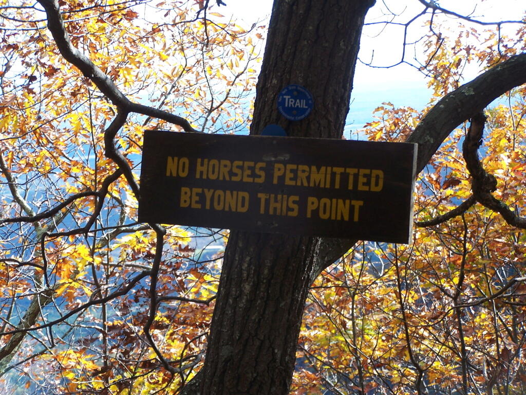 Photo: No Horses on Escarpment Trail