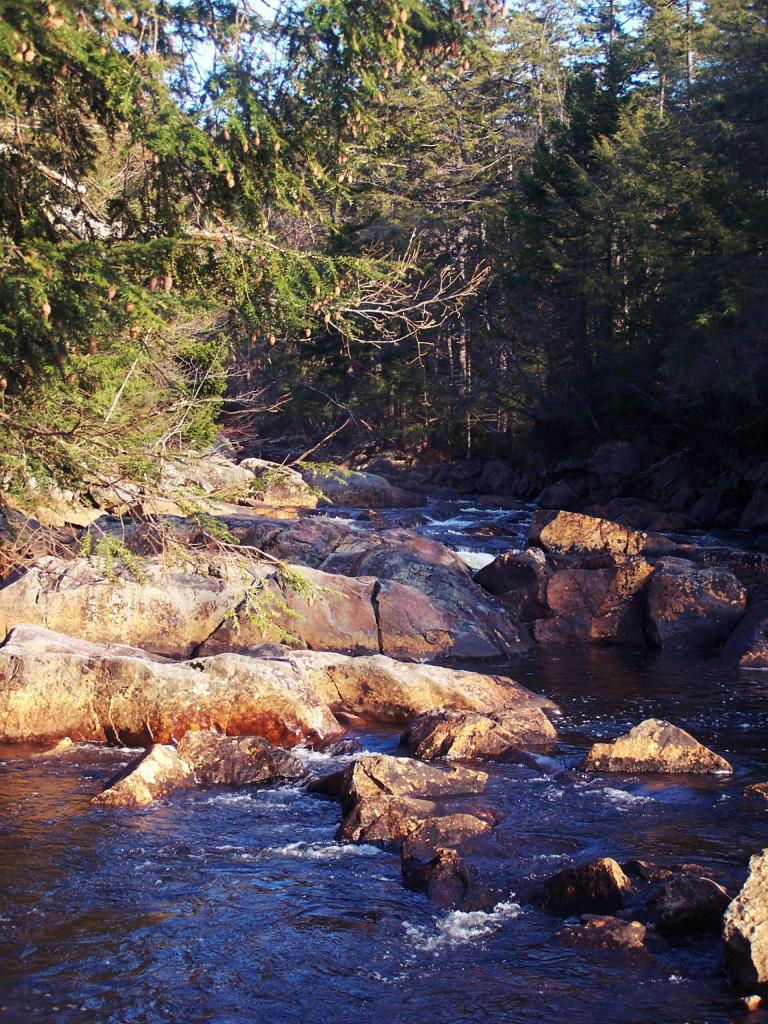 Photo: The Potholers in Late Fall Photo: The Potholers in Late Fall