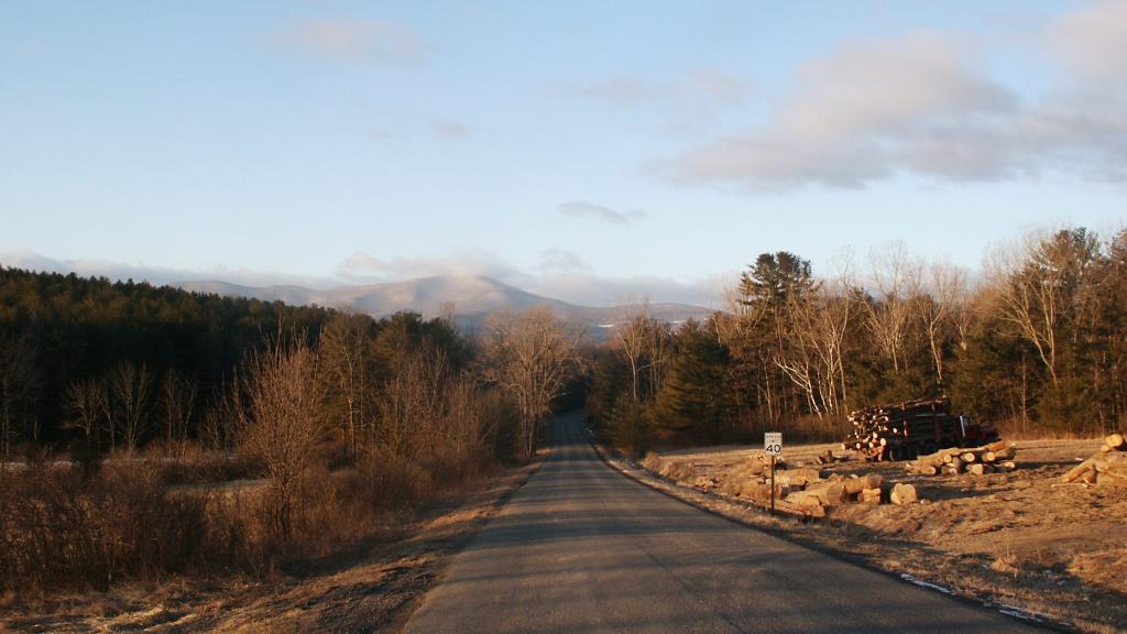 Photo: Carter Bridge Road