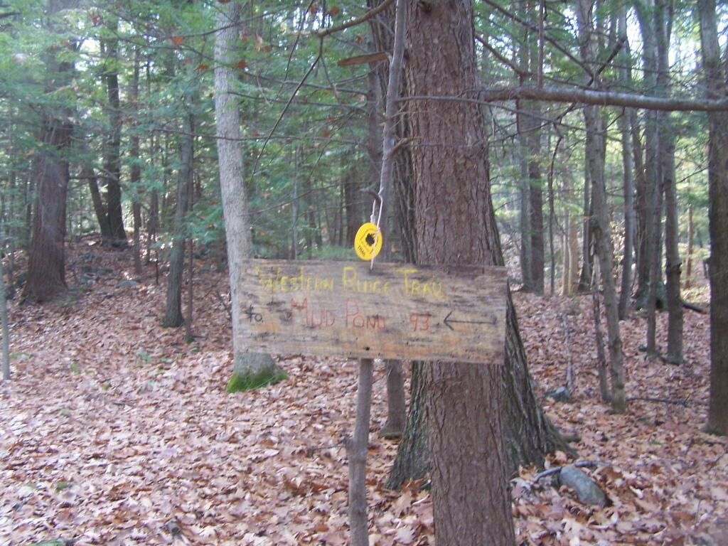 Photo: Trail Sign Heading East