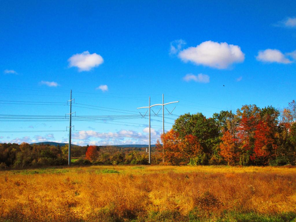 Photo: Chilly But Beautiful Autumn Day