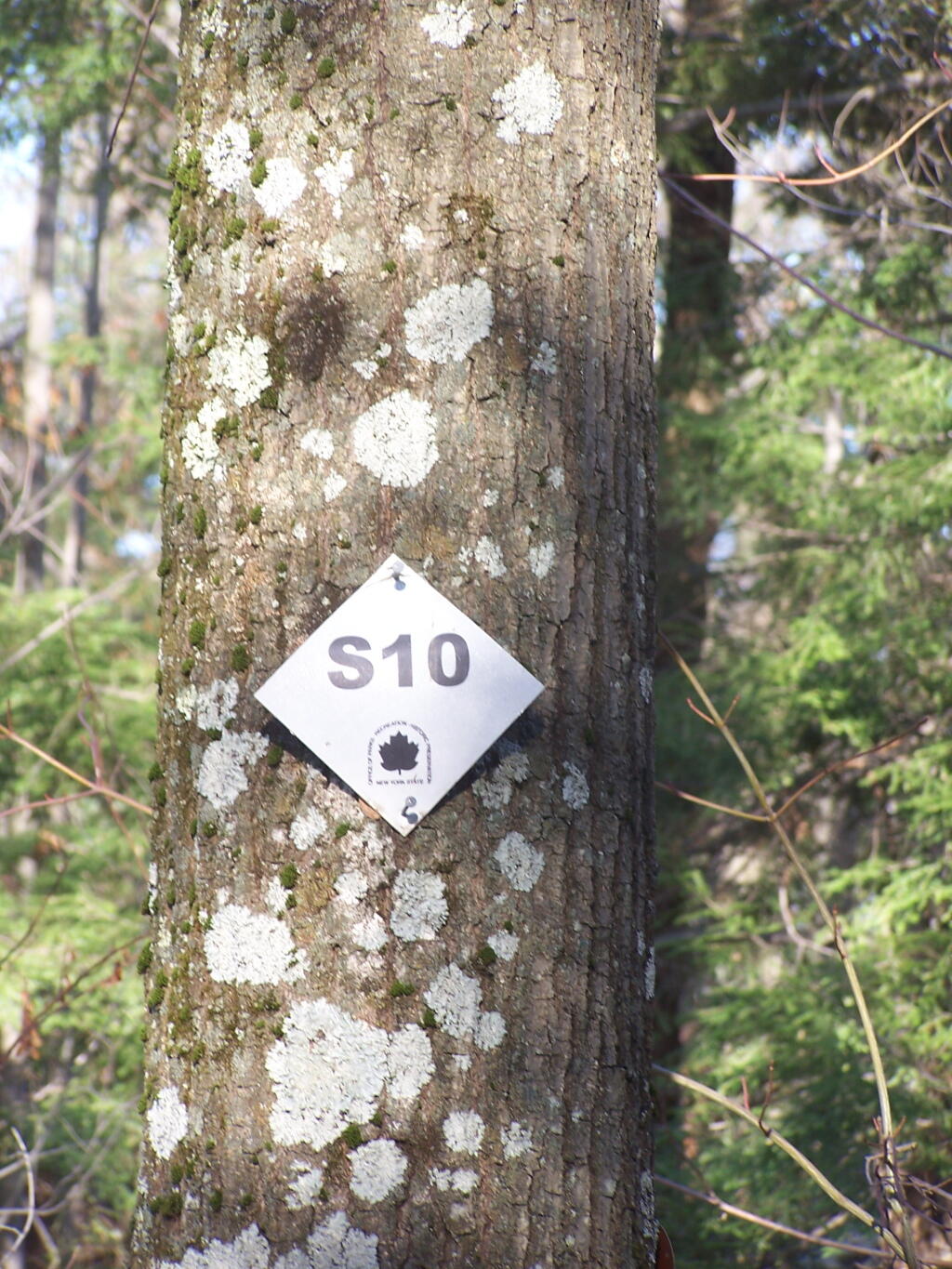 Photo: Intersection S10