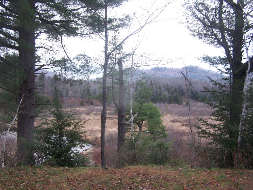 Photo: Looks Cold and Winter Like at Foxx Lair Photo: Looks Cold and Winter Like at Foxx Lair