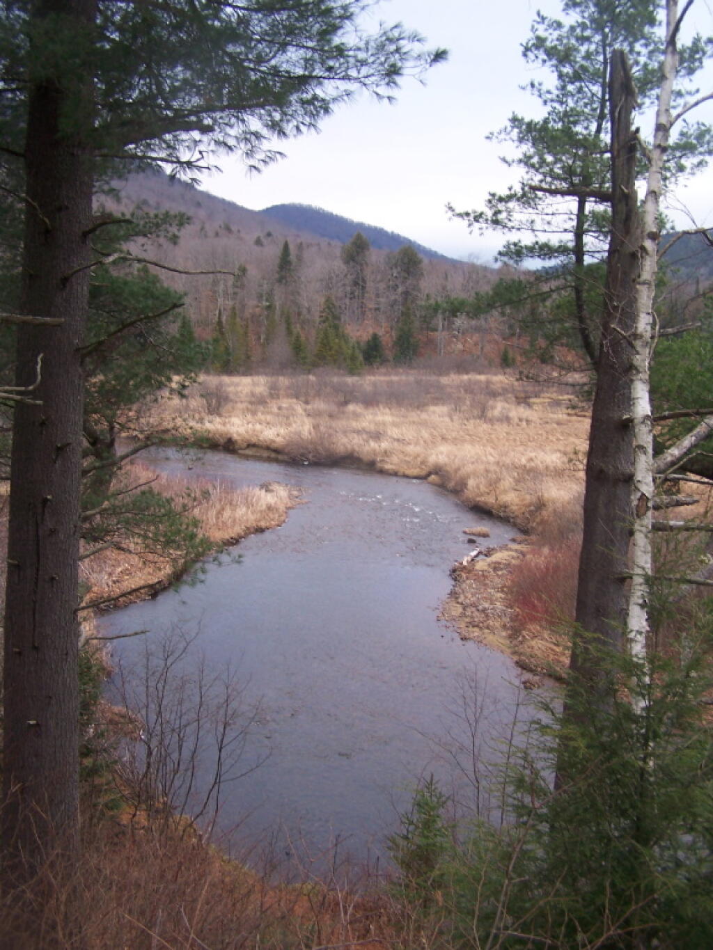 Photo: East Branch