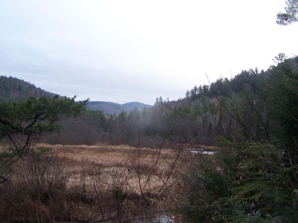 Photo: Grey and Wet Adirondack Morning Photo: Grey and Wet Adirondack Morning