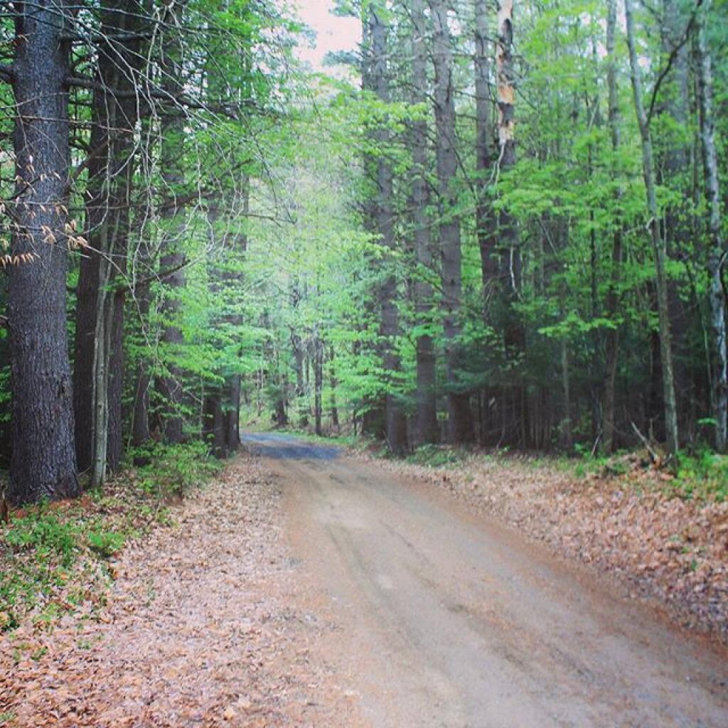 Photo: Pumpkin Hollow Road