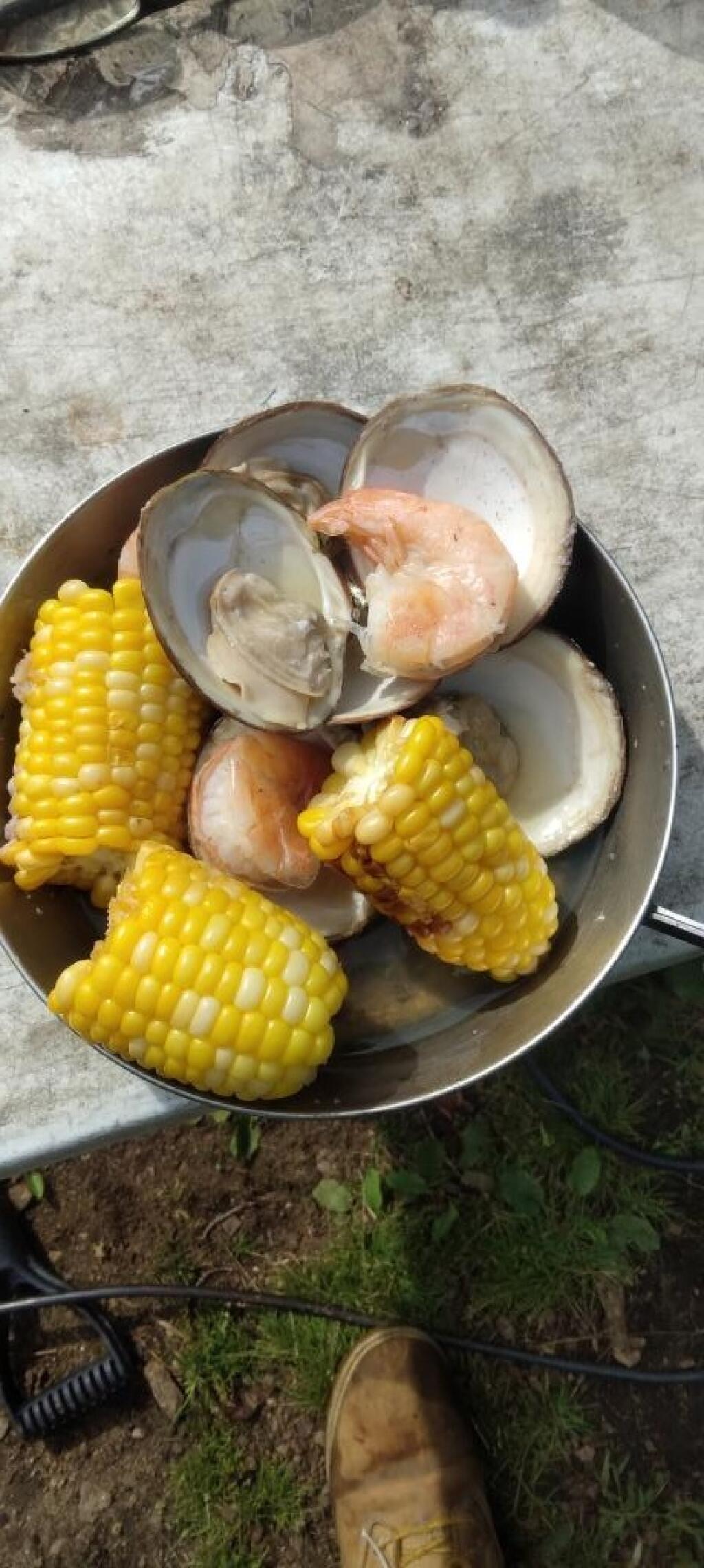 Photo: Clams, shrimp and sweet corn for lunch Photo: Clams, shrimp and sweet corn for lunch