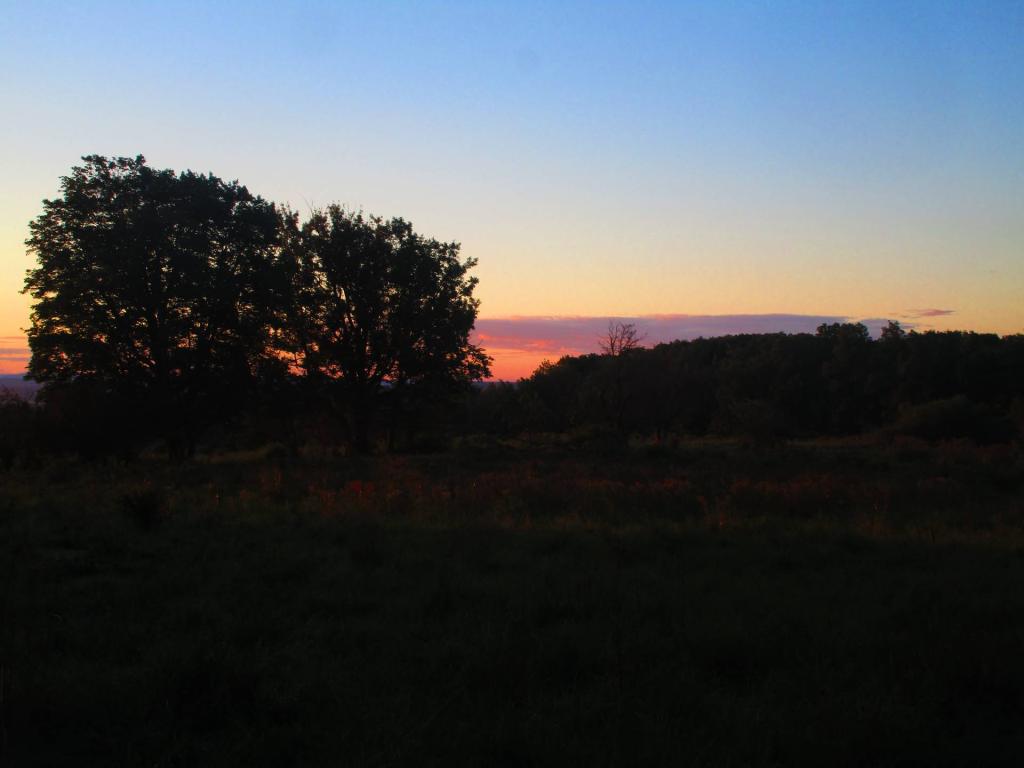 Photo: Dawn