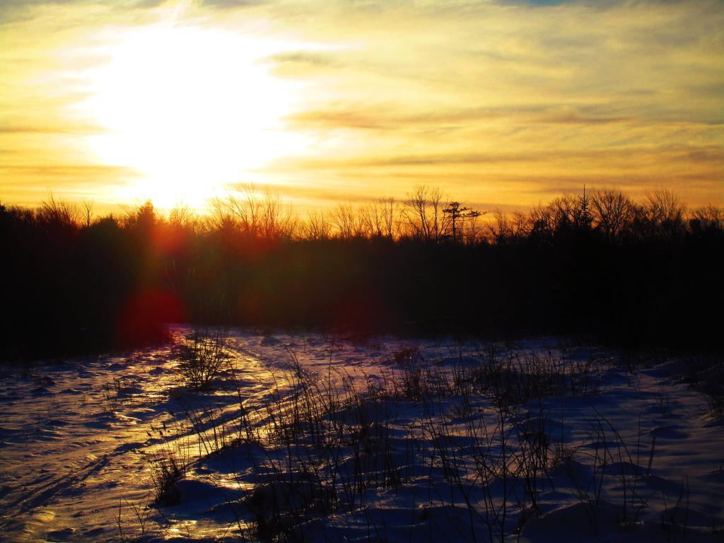 Photo: Setting Sun