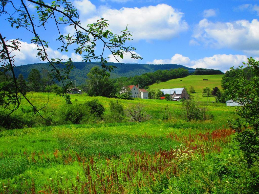 Photo: Scenic Farm Along the Catskill Scenic Trail Photo: Scenic Farm Along the Catskill Scenic Trail