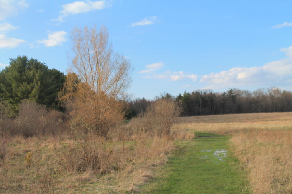 Photo: Some Green