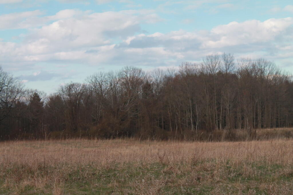Photo: Still Kind of a Winter Scene