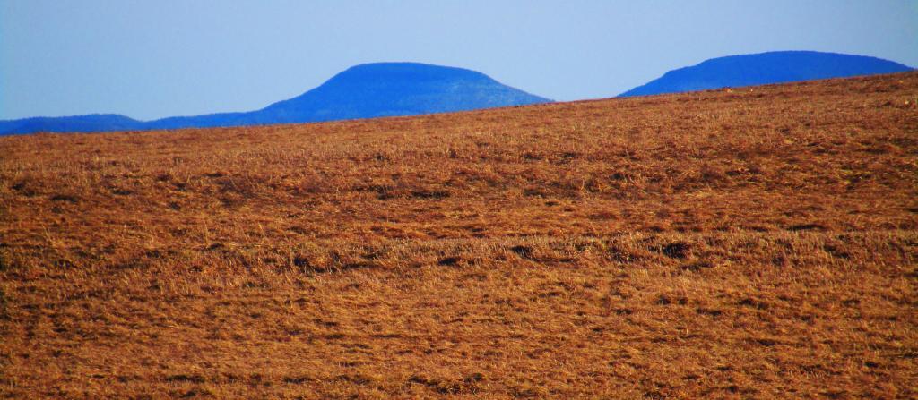 Photo: Peaks