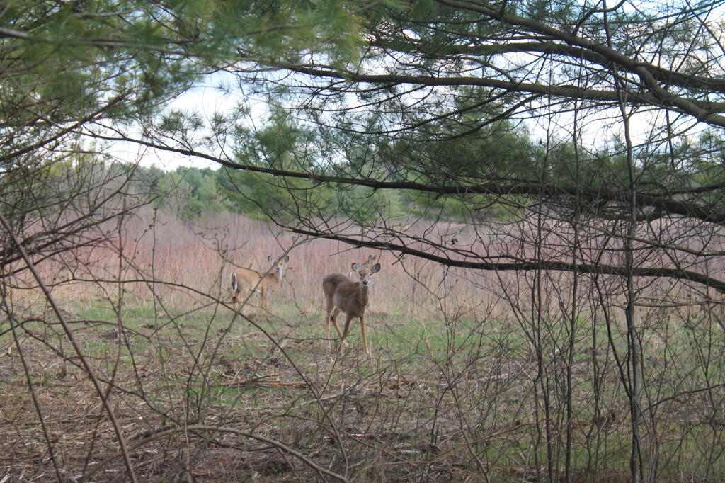 Photo: Well, Hello There. Photo: Well, Hello There.