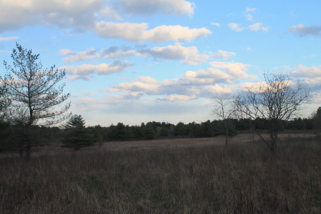 Photo: Field